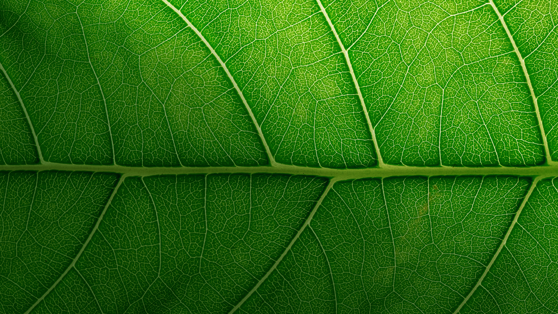 EIC-cabecera-listado-naturaleza